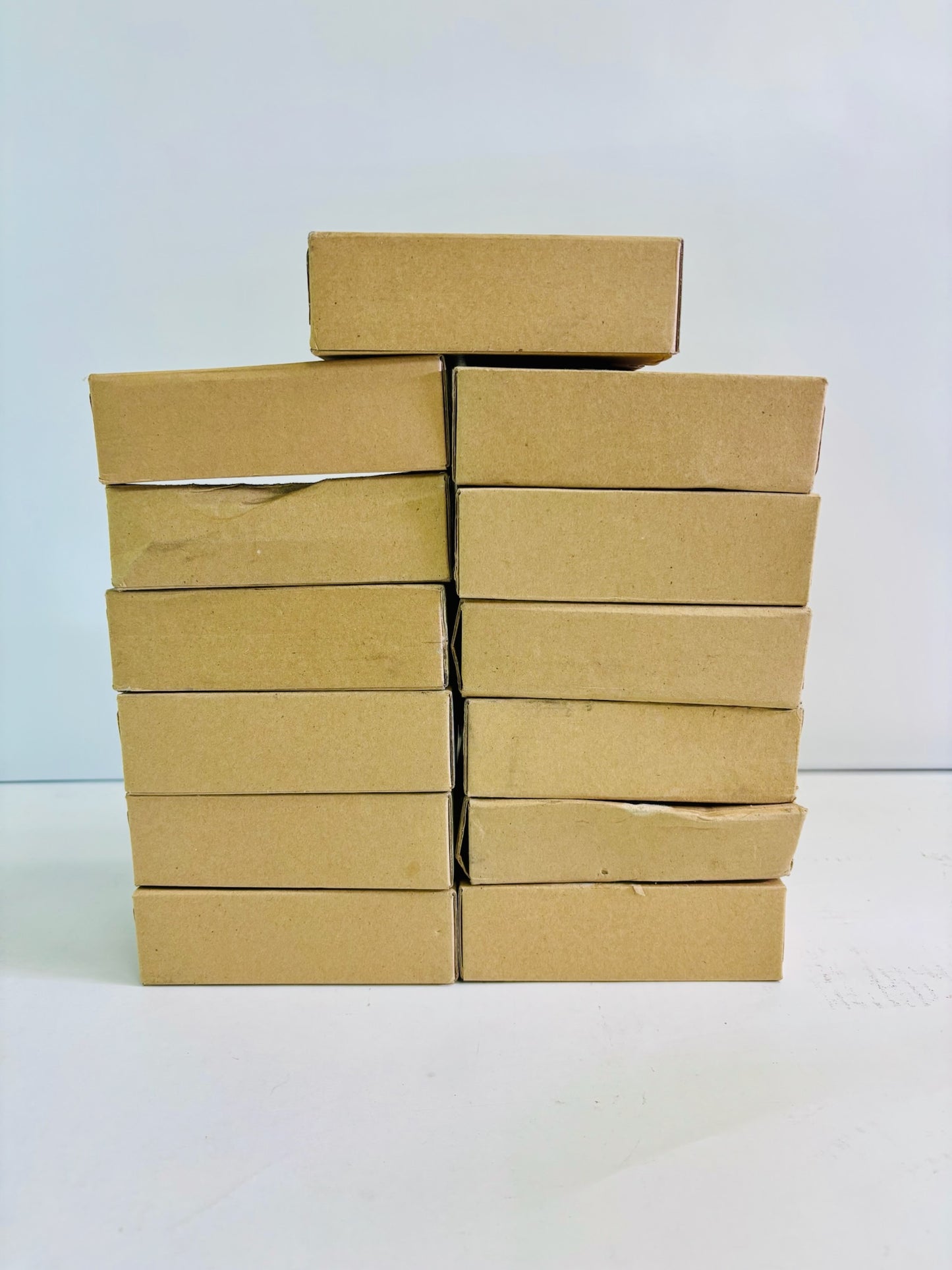 13 Genuine Ricoh B246-1233, B2461233 Front Ozone Filter