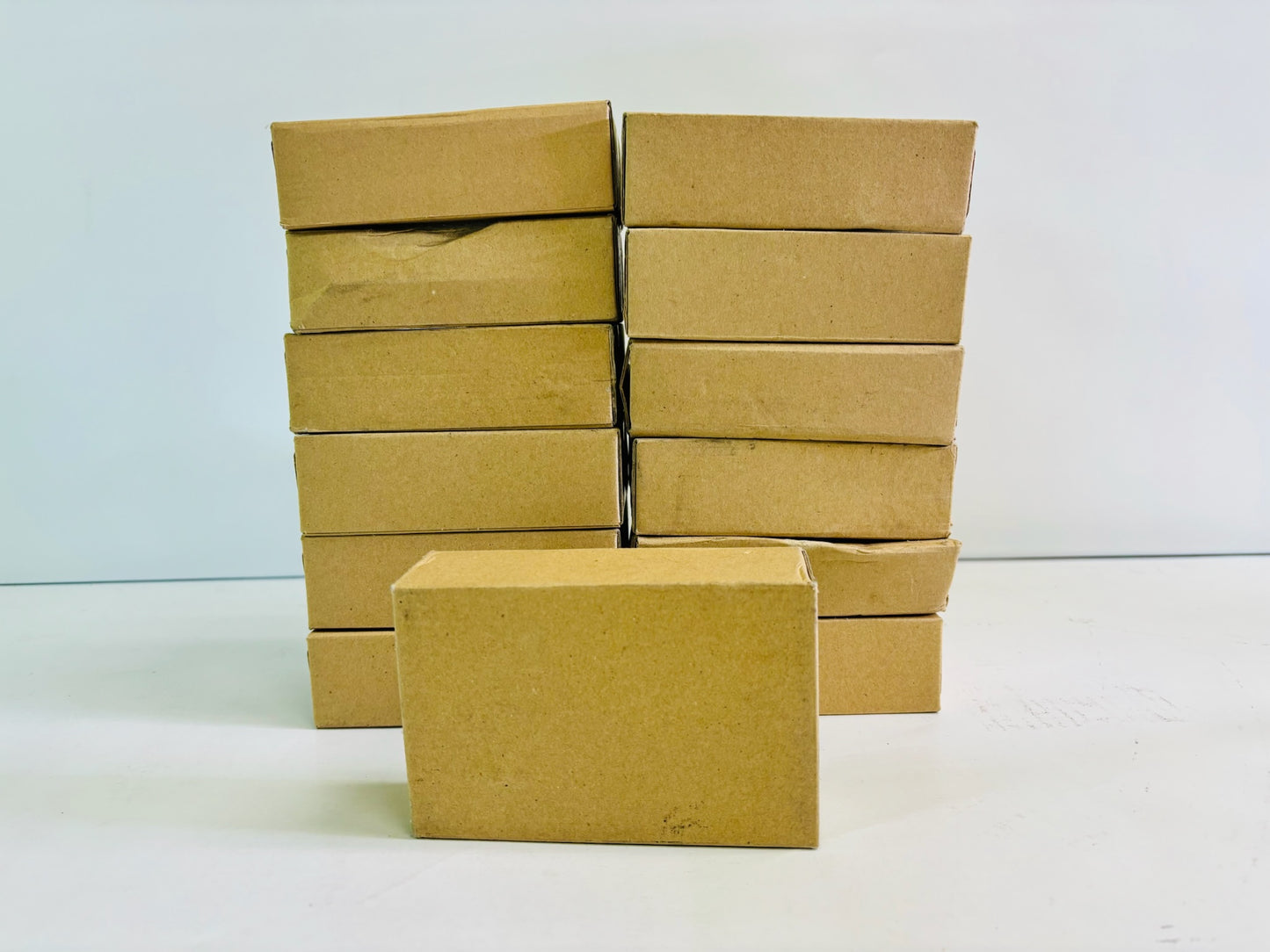 13 Genuine Ricoh B246-1233, B2461233 Front Ozone Filter